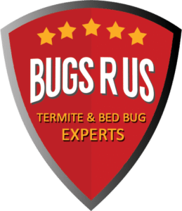 bugsrus termite bed bugs local seo toronto